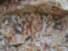 dsc8477_572