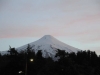 dsc0442_878