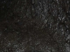 dsc0524_900