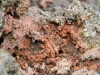 dsc0579_940