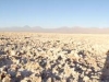 dsc00489_1223