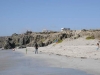 dsc1442_1251
