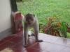 dsc01435_2319