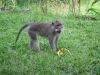 img_0624_2317