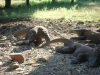 dsc01665_2367