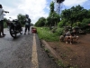 dsc0518_2919