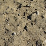 IMG_1505_35 IMG_1505_35