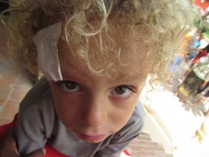 IMG_3397_2881