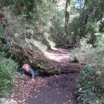 IMG_3924_754