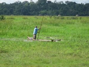IMG_3951_2950