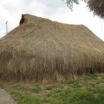 IMG_5021_894